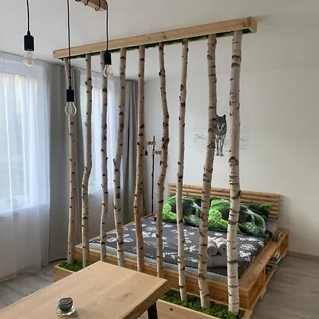 Apartman V Centru Zelezne Rudy Se Zahradkou Zelezna Ruda