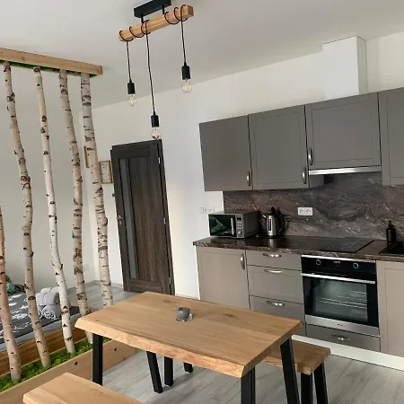 Apartman V Centru Zelezne Rudy Se Zahradkou Zelezna Ruda