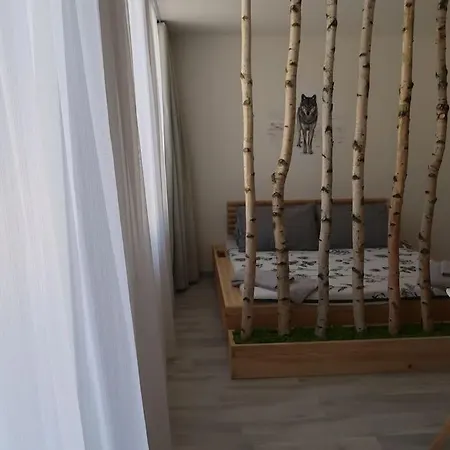 Apartman V Centru Zelezne Rudy Se Zahradkou Apartment *