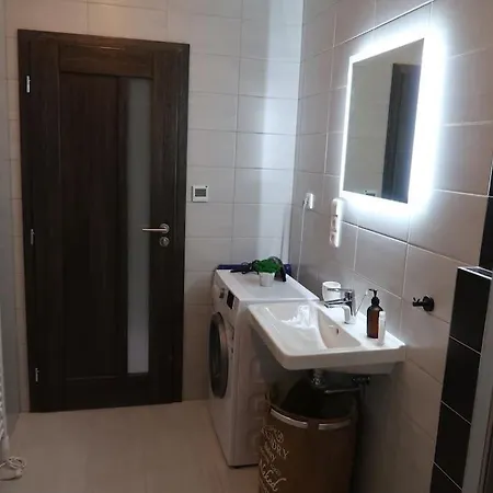 Apartment Apartman V Centru Zelezne Rudy Se Zahradkou