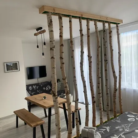 Apartman V Centru Zelezne Rudy Se Zahradkou